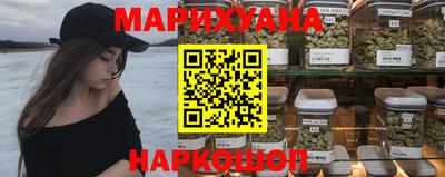 сатива Краснокаменск