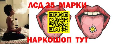 прущие грибы Краснодар
