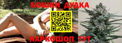 прущие грибы Краснодар