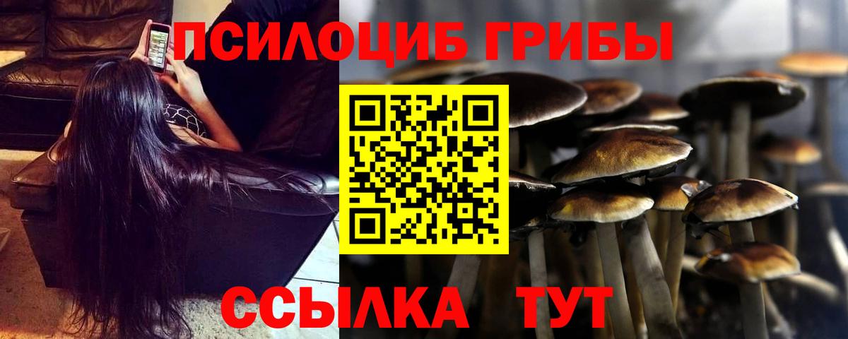 Железногорск  Галлюциногенные грибы MAGIC MUSHROOMS  что такое   Вход с VPN 